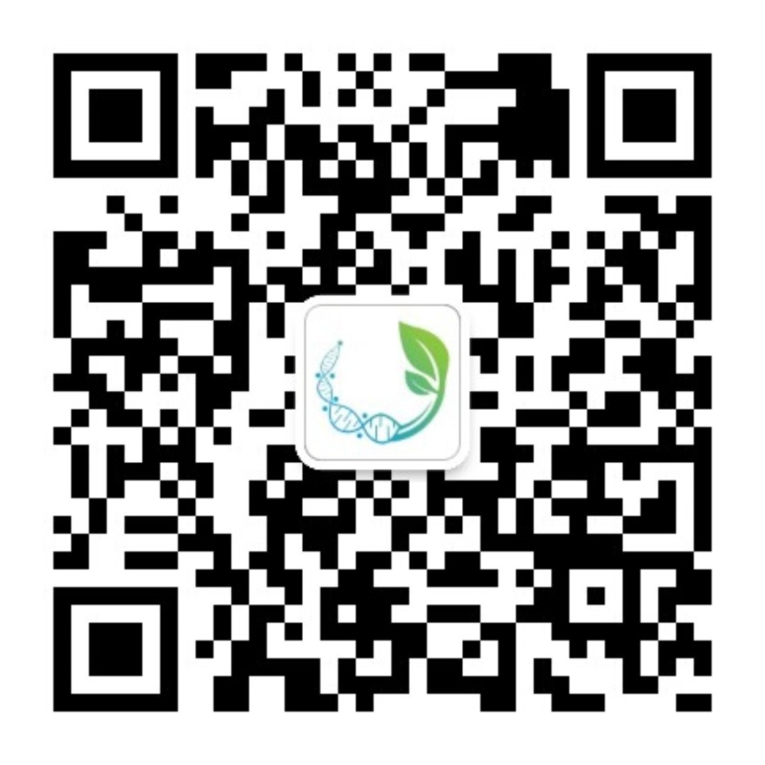 莅时医学微信公众号二维码.jpg